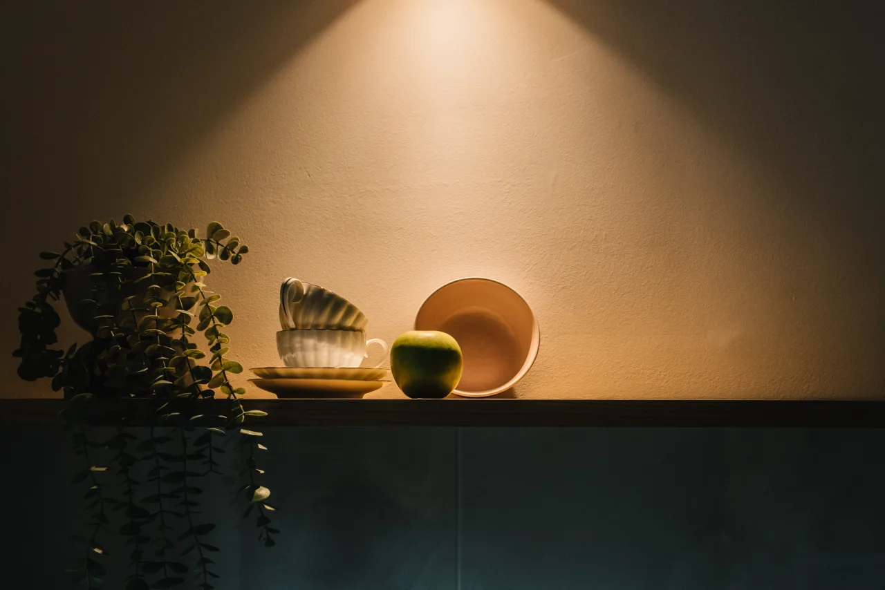 Dizajn enterijera vracar 1 — fotografija 4